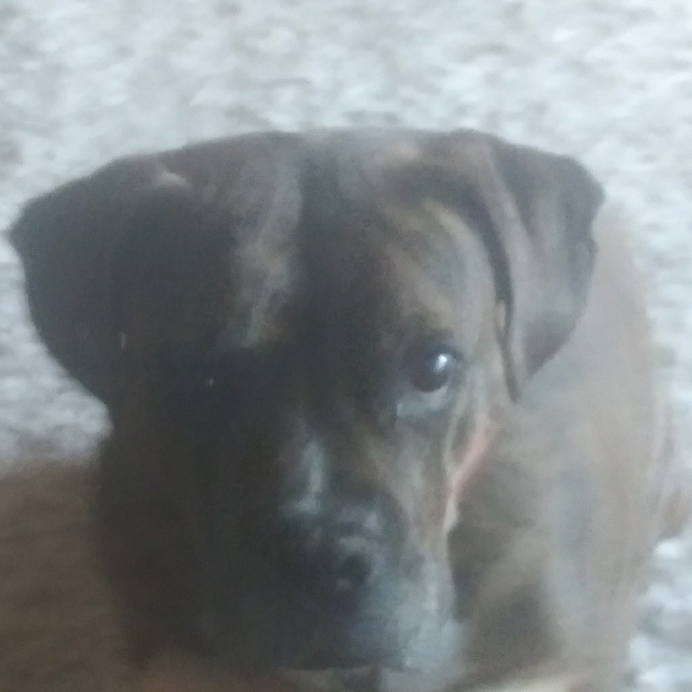 Meet your Posher, Brooklyn